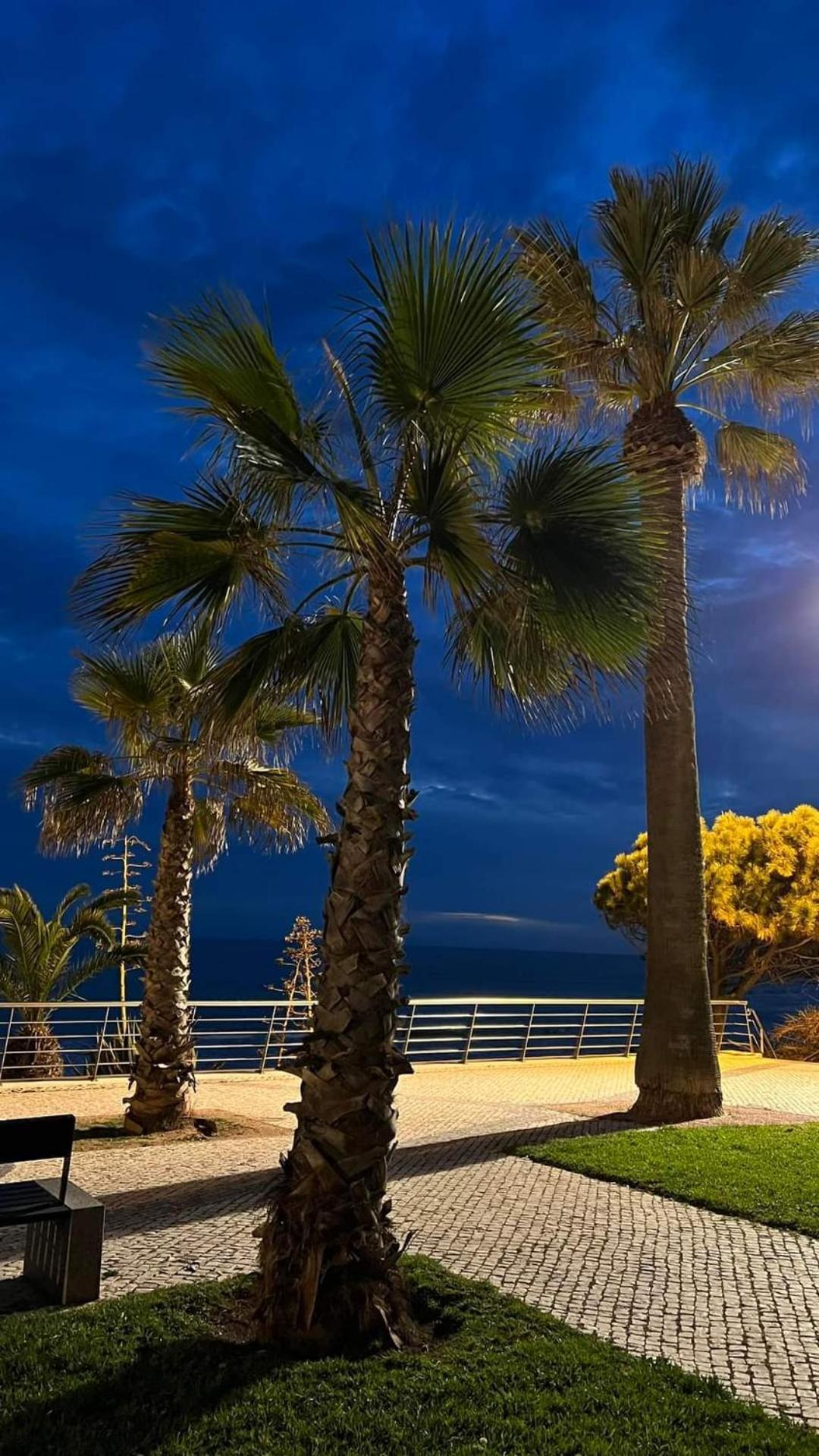 Hostel Supremo Armação de Pêra 외부 사진