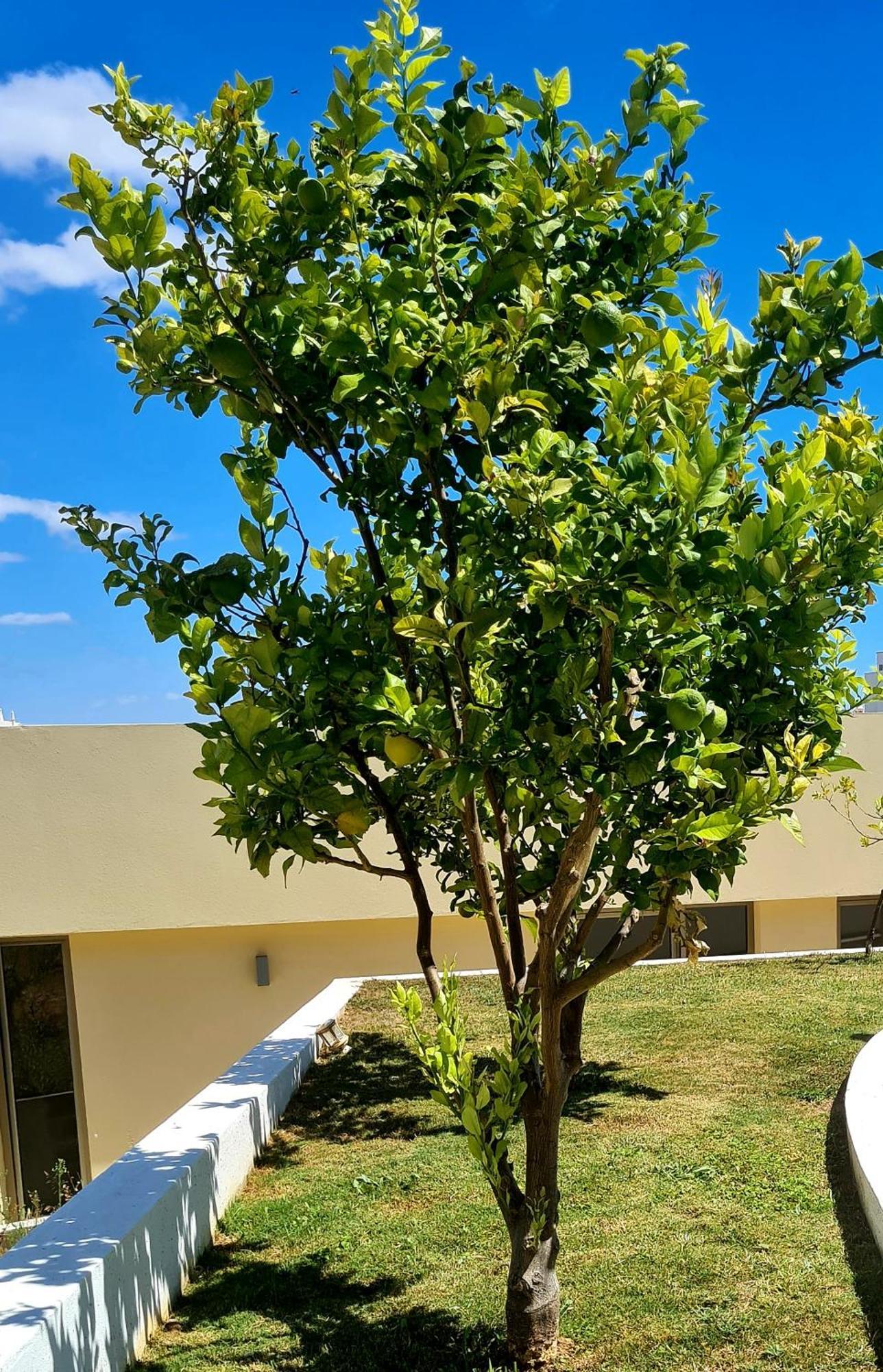 Hostel Supremo Armação de Pêra 외부 사진